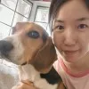Ting Zou