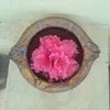 Udhaya Shree