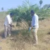 Shekhar Bollampally
