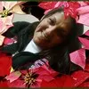 Lourdes Araujo