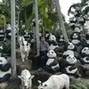 Soe Thu Moe