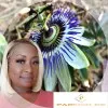Tania Hall