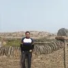 Ajinkya Chole