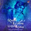 KrishnaGopal Krishnamurthy
