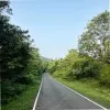 Athithya