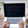 Web Developer