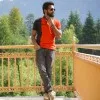 Mohammad javed
