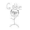 Stephen Goldstein