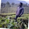 Manikandan Sriramulu
