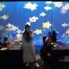Sania khurshid