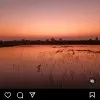 Vikas Dagur