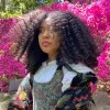 Nefertiti Bourne