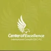 Center of Excellence Center of Excellence International