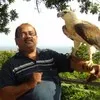 Ramu Rao