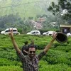 Rahul Kumar