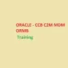 Oracle CCB C2M MDM ORMB Trainer and Resource Provider