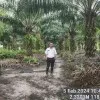Wasana War