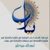 mohamed abo alnaga