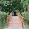 Mutahira Syed