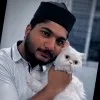 safeer ahmed