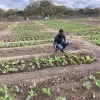 bekithemba ndlovu