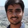 Biswajit Kaushik