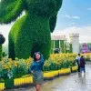 Meron Alemu