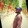 Prince Ansah