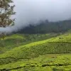 Ajay Kumar