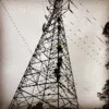 Dustin Bennett