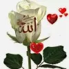 Mdaleem Uddin