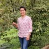 Sarika