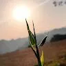 Vikas Chandel