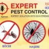 Expert pest control fumigation