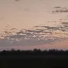 Babu Ray