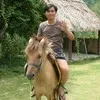 Tung Le