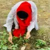 Aneesa nisar
