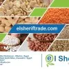Elsherif Trade