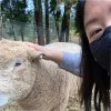 Linh Phung