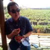 SUNARYO SUNARYO