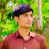 Qamar Jamshed