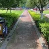 Kimmy Zhang