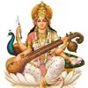 joshi jitesh