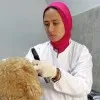 Rana Abdelkhalek