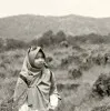 Didi Pangesti