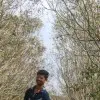 Dileep kumar