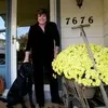 Pam Dunn