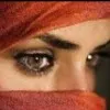 Farhat Shakeel