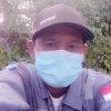 Wi Dodo
