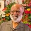 Mahmood Shaam